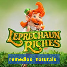 remedios naturais para diabetes